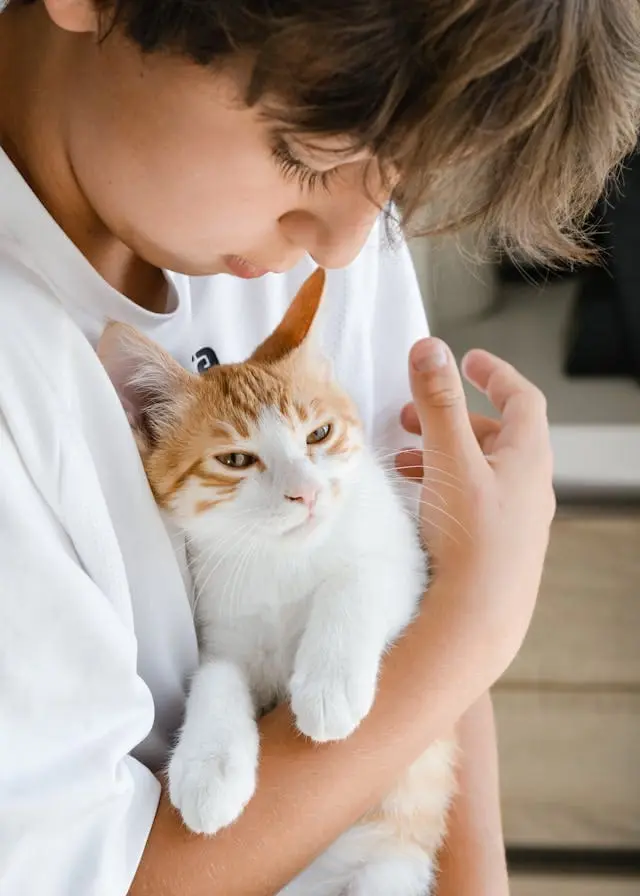 Allergies-aux-Phaneres-de-Chat-chez-un-enfant-Allergologue-a-Casablanca